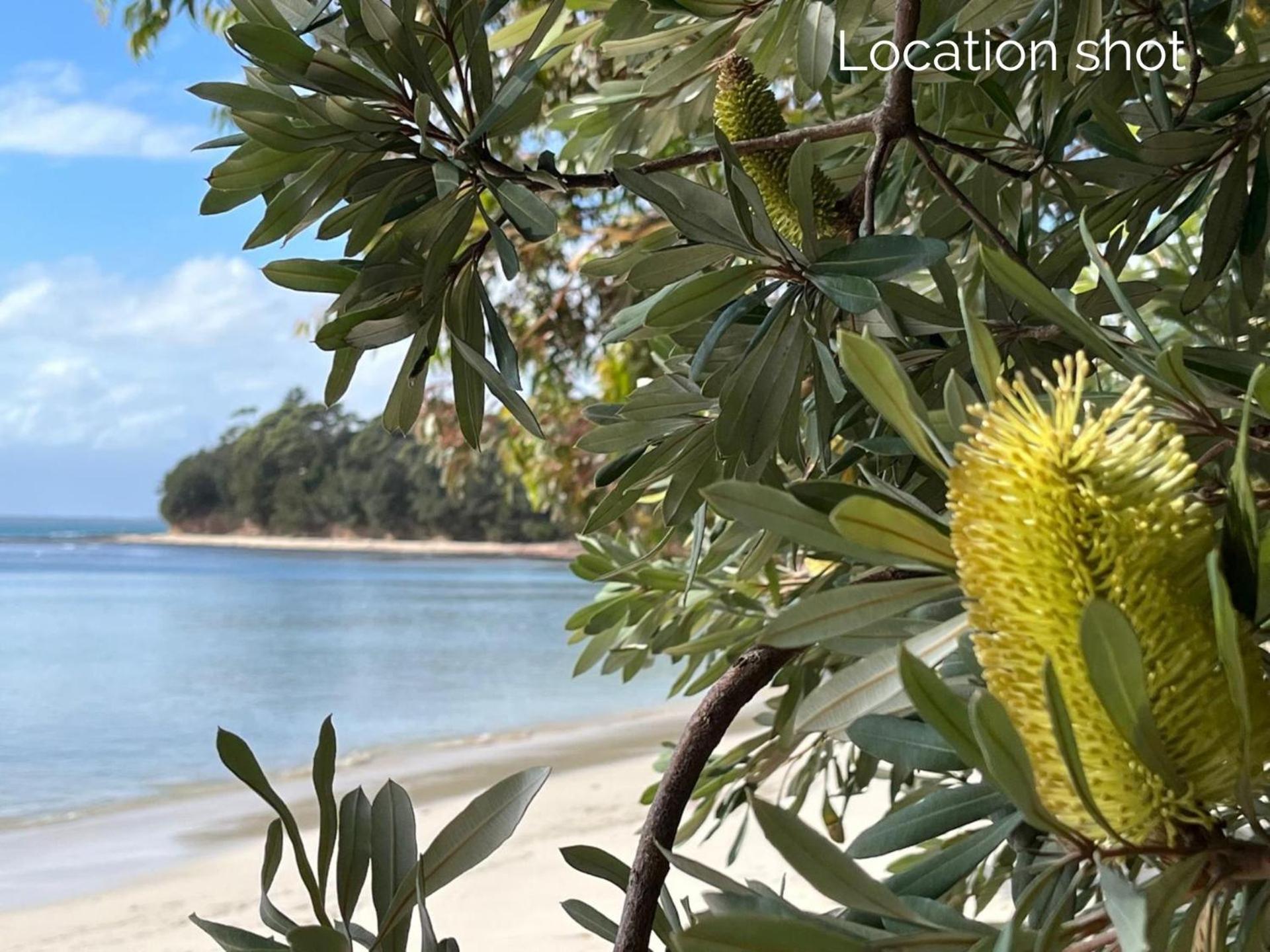 빈첸시아 Banksia On Blenheim By Experience Jervis Bay 아파트 외부 사진
